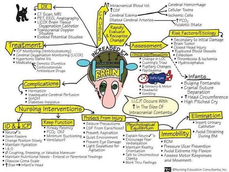 Icp Nursing, Nursing Information, Med Surg Nursing, Nursing Life, Staff Development, Nursing Mnemonics, Nursing School Survival, Critical Care Nursing, Nurse Rock