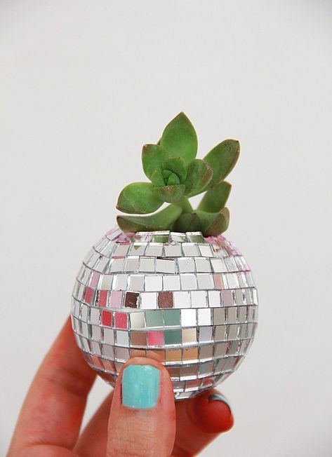 Make A Disco Ball, Diy Disco Ball, Succulent Planter Diy, Succulent Planters, Instagram Widget, Mirror Ball, Disco Balls, Décor Boho, Diy Planters