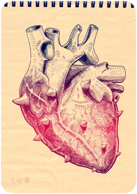 Как раз в преддверии Дня Душевнобольных Heart With Thorns, Anatomical Heart Art, The Human Heart, Heart Tattoo Designs, Medical Art, Anatomical Heart, Human Heart, Beating Heart, Anatomy Art