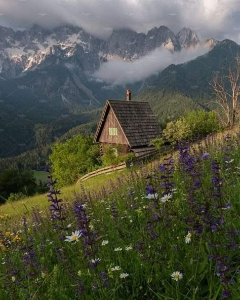 Cottage In A Meadow, Cottage On Mountain, House In A Meadow, Cottage In Mountains, Nature Background Aesthetic, Cottage In The Woods Aesthetic, Aesthetic Nature Background, Flower Nature Aesthetic, Cottage In A Forest