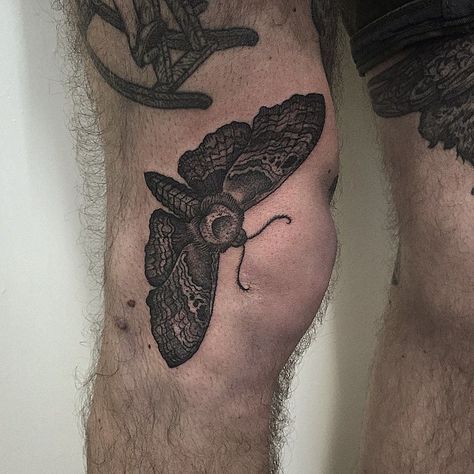 Moth Under Knee Tattoo, Knee Moth Tattoo, Moth Tattoo Above Knee, Moth Tattoo Knee, Black Moth Tattoo, Moth Knee Tattoo, Side Knee Tattoo, Side Of Knee Tattoo, Around The Knee Tattoo