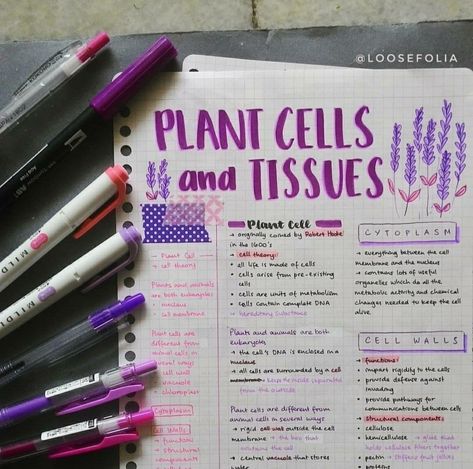 Plant Cell Notes Aesthetic, Anatomy Notes Aesthetic, Notes Ideas Study, Purple Notes, Cornell Method, Notes Cornell, Plant Anatomy, Anatomy Notes, Robert Hooke