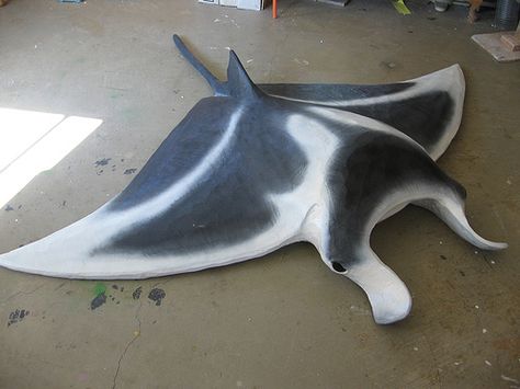 Manta Ray costume - includes basic directions on how to make it Manta Ray Costume, Angler Fish Costume, Mermaid Costume Makeup, Ray Costume, Cardboard Art Sculpture, Sea Costume, Under The Sea Crafts, Street Theatre, Fish Costume