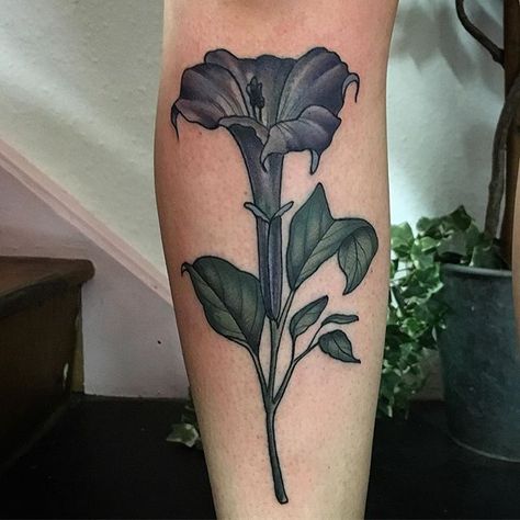 Devils Trumpet Flower, Shoulder And Back Tattoo, Trumpet Flower Tattoo, Devils Trumpet, Trumpet Flower, Botanical Tattoo, Trumpets, S Tattoo, Back Tattoo