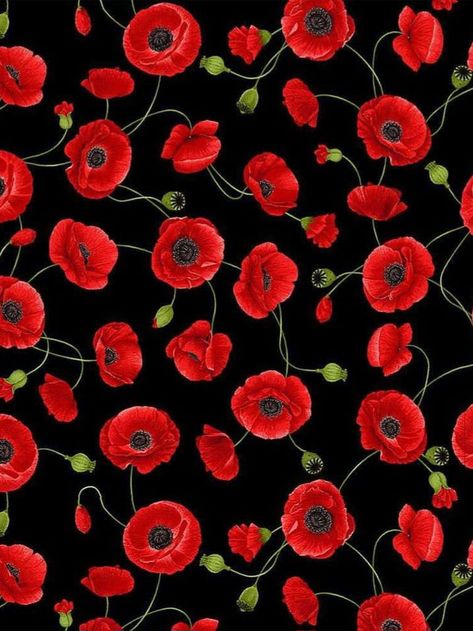 Solid Black Background, Poppy Color, Wild Poppies, Novelty Fabric, Pretty Fabric, Cotton Quilting Fabric, Poppy Flower, Summer Floral, Timeless Treasures