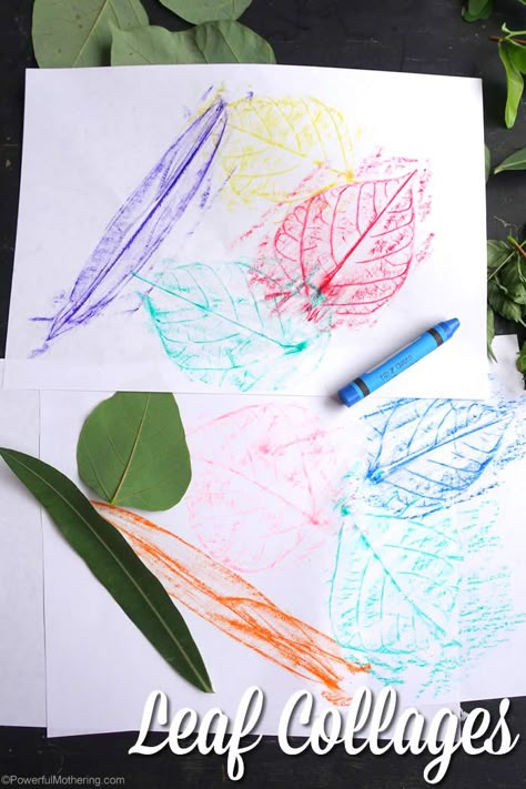 Make these lovely leaf collages after a walk where leaves were collected! Great idea to explore texture of leaves. Preschoolers will enjoy this. Leaf Collage, Fall Preschool Activities, Tree Study, Fall Preschool, Preschool Themes, Preschool Fun, Nature Crafts, Process Art, Autumn Activities