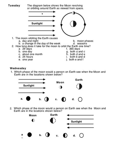 Phases Of The Moon Worksheet, Moon Phases Worksheet, Moon Phases Names, Moon Worksheet, Seasons Lessons, Seasons Worksheets, 5th Grade Worksheets, Moon Orbit, Middle School Lesson Plans