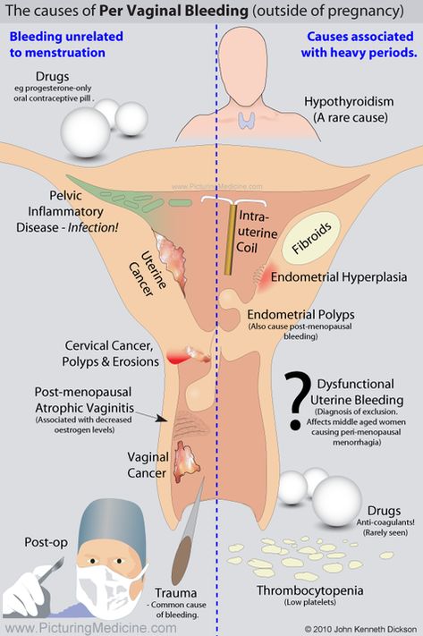 Organ Manusia, Obgyn Doctor, Obstetrics Nursing, Obgyn Nurse, Medical Assistant Student, Medical Ultrasound, Nursing Student Tips, Surgical Nursing, Medical Surgical Nursing