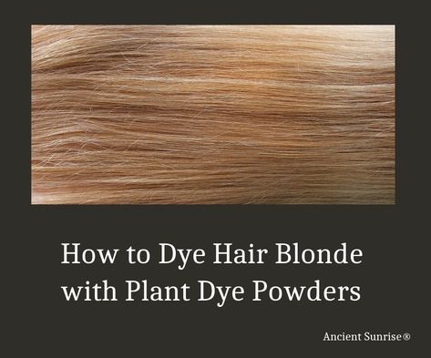 Dye hair blonde naturally with cassia and other plants to get a beautiful color and healthy hair. This article has tips and tricks to help. Dye Hair Blonde, Blonde Henna, Turmeric Dye, Indigo Henna, How To Dye Hair, Dishwater Blonde, Dark Golden Blonde, Hair Dye Tips, Grey Hair Coverage