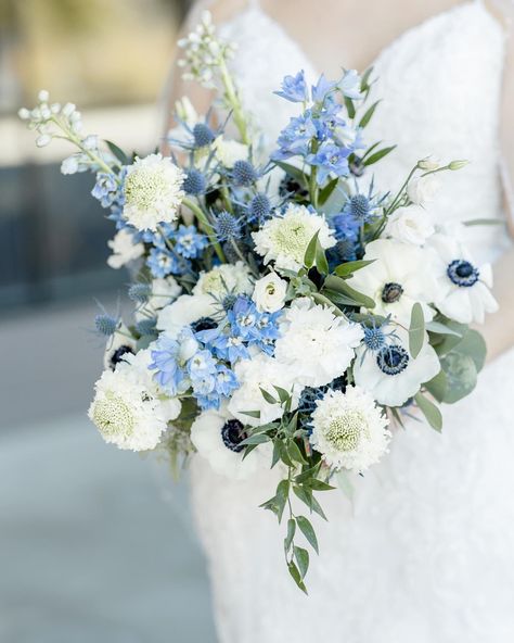 Blue Wedding Bouquet Ideas, Delphinium Wedding Bouquet, Delphinium Bridal Bouquet, Blue And White Bridal Bouquet, Chrysanthemum Wedding, Navy Blue Wedding Theme, Classic Wedding Bouquet, Baby Blue Weddings, Wedding Bouquet Ideas