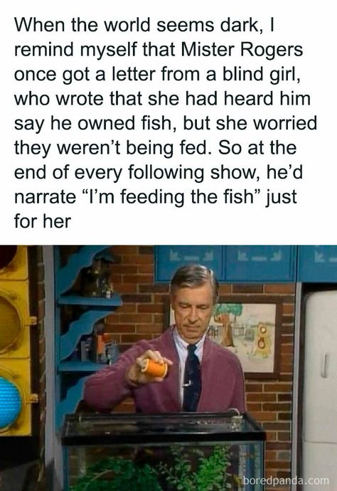 Witty Memes, Kindness Of Strangers, Mister Rogers, Right In The Childhood, Blind Girl, Mr Rogers, Humanity Restored, Faith In Humanity, I Feel Good