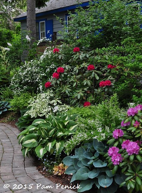 Digging | cool gardens in a hot climate | Page 9 Shade Garden Design, Shade Garden Plants, Front Yard Garden, Front Yard Landscaping Design, Shade Plants, Types Of Flowers, Shade Garden, Front Garden, Backyard Landscaping Designs