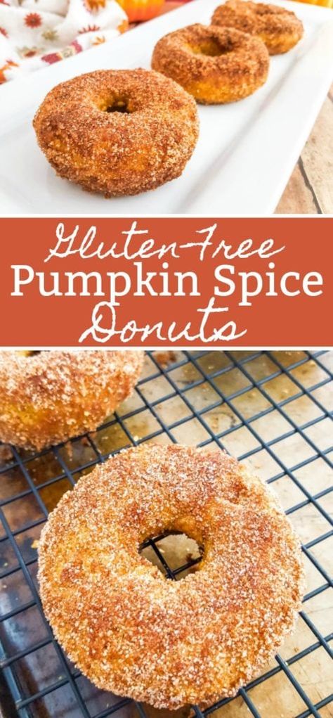 Gluten-Free Pumpkin Spice Donuts Recipe | Baked Pumpkin Donuts Pumpkin Spice Donuts Recipe, Pumpkin Donuts Baked, Easy Donut Recipe Baked, Gluten Free Donut Recipe, Pumpkin Spice Doughnuts, Pumpkin Donuts Recipe, Gluten Free Pumpkin Spice, Easy Donut Recipe, Pumpkin Spice Donut