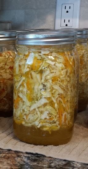 Canning Amish Coleslaw Recipes Amish Coleslaw Recipe, Sauerkraut Recipe, Homemade Sauerkraut, Fermented Veggies, Sauerkraut Recipes, Fermentation Recipes, Probiotic Foods, Coleslaw Recipe, Fermented Foods