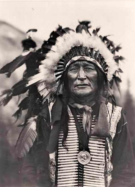 1908 PHOTO, SIOUX, Native American, antique, Bone Necklace American Indian History, Native American Warrior, Native American Images, Native American Chief, Native American Men, Wilde Westen, Native American Pictures, Native American Quotes, Native American Artwork