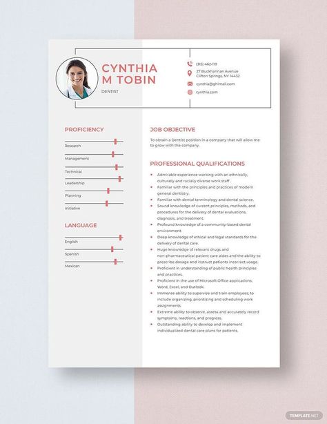 Dental Resume, Dentist Resume, Teacher Resume Template Free, Preschool Teacher Resume, Elementary Teacher Resume, First Job Resume, Cv Example, Project Manager Resume, Cv Words