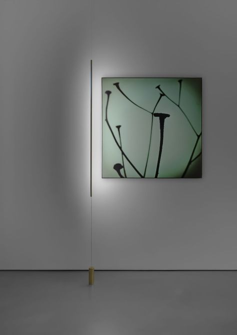 'Masai' from Davide Groppi. Even more minimal than Patricia Urquiola's 'Serena' floor lamp featured earlier. Fish Lamp, Alberto Giacometti, White Floor Lamp, Brass Floor Lamp, Art And Technology, Light Art, Lamp Design, Light Fixture, Decorative Painting