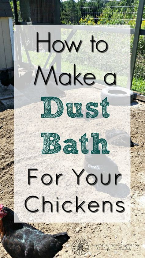 Diy Dust Bath, Dust Bath For Chickens, Chicken Incubator, Chicken Care, Portable Chicken Coop, Dust Bath, Urban Chickens, Chicken Health, Best Chicken Coop