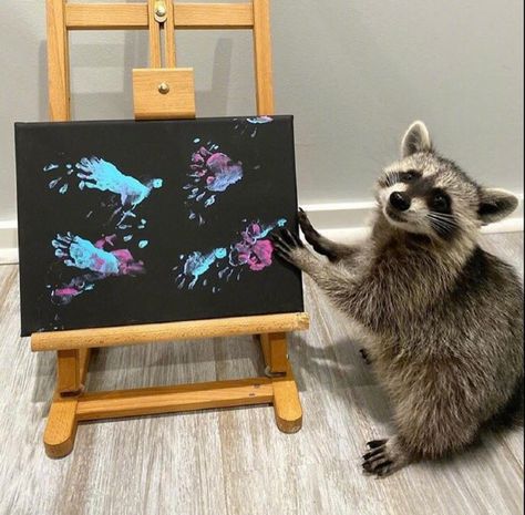 Be Productive, Racoon, Paintings, Media, Instagram, Art