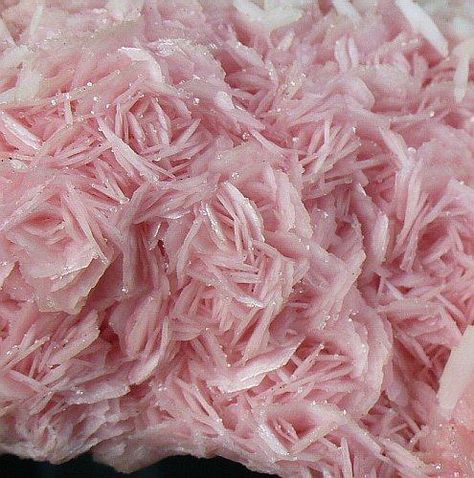 Rhodochrosite with Calcite - At first glance, I thought this was a photo of some pink roses or peonies clustered together. Geometry Nature, Crystal Cabinets, Therapy Healing, Earth Gift, Crystal Formations, Pretty Rocks, Crystal Therapy, Perfect Smile, Beautiful Rocks