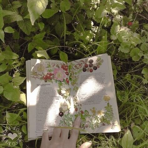 The Grass, A Book, Reading, Flowers