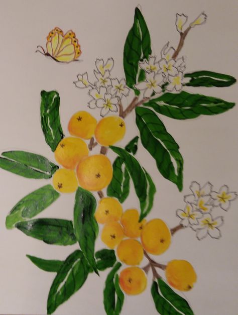 Kumquat Tattoo, Loquat Tattoo, Apricot Tree Illustration, Tree Tatto, Nasturtium Print, Nasturtium Botanical Illustration, Loquat Tree, Butterfly Artwork, Dental Art