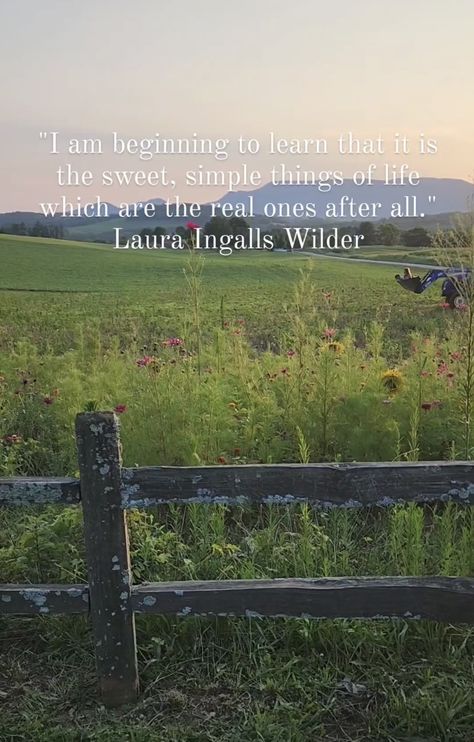 Laura Ingalls Aesthetic, Laura Ingalls Wilder Quotes, Laura Ingalls Wilder, Self Care Bullet Journal, The Golden Years, Laura Ingalls, Better Person, Golden Years, Aesthetic Quotes