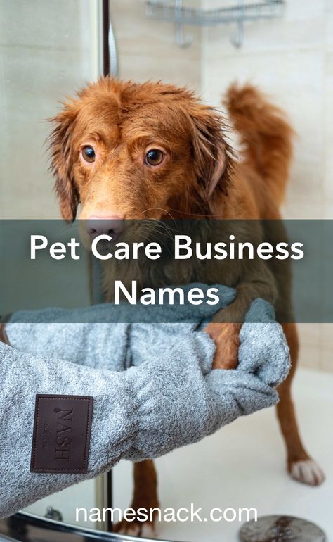 Pet Business Name Ideas, Pet Sitting Business Names, Dog Business Names, Kennel Business, Service Cat, Pet Care Business, Pet Sitting Business, Free Logos, Cat Hotel