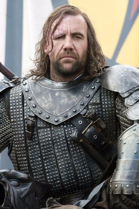 Hound Game Of Thrones, Sandor Clegane, Rory Mccann, Favorite Tv Characters, Game Of Thrones Art, Tv Characters, A Song Of Ice And Fire, Petite Women, Film Stills