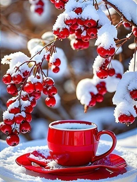 Coffee Flowers And Chocolates | Good morning! 💖🎭🌸 | Facebook Good Morning Winter Images, Good Morning Winter, Art Deco Artwork, Good Morning Coffee Images, Morning Coffee Images, Happy Weekend Quotes, Coffee Flower, Winter Coffee, Good Morning Picture