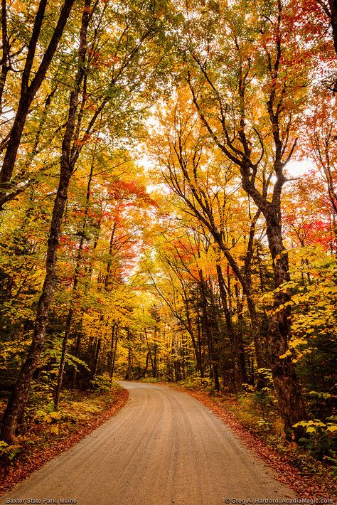 Baxter State Park Maine, Maine Autumn, Autumn Season Nature, Baxter State Park, Maine Photography, Northern Maine, New England Fall, Autumn Park, Autumn Scenes