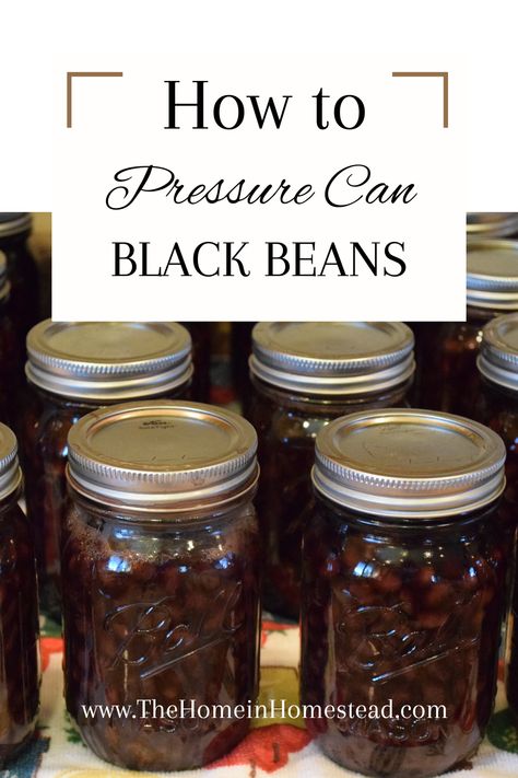 How to Can Black Beans | Pressure Canning Black Beans 2 Ways! - The Home in Homestead Canning Black Beans, Bean Dip Appetizer, Recipes Printables, Canning Beans, Bean Salads, Survival Food Storage, Pressure Canning Recipes, Homemade Beans, Can Black Beans