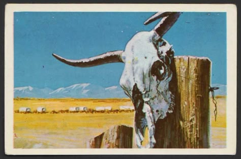 Bison Skull - 1970's Vintage Swedish Wild West Series Gum Card Bull Skull Aesthetic, Vintage Wild West Aesthetic, Charles Core, Wild West Aesthetic, Western Core, West Aesthetic, Blood Meridian, Western Journal, Bison Skull