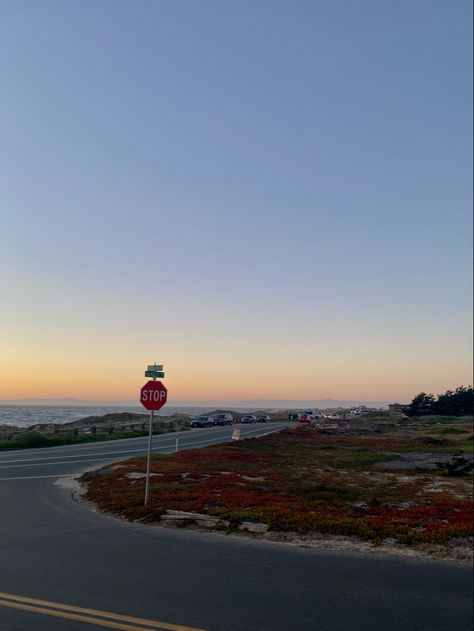 sunset, california, beach, sandy, bike rides, selfies, aesthetic, vacay, summer time Beach Bike Ride, Selfies Aesthetic, Pretty Sunsets, Sunset California, Beach Sunrise, Beach Bike, Bike Rides, Winding Road, Sunrise Beach