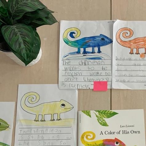 Jennifer Jongsma on Instagram: "After reading ‘A Color of His Own’ students drew their own little chameleons!" Leo Lionni, Student Drawing, Reading, Color, Instagram