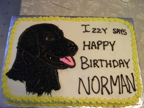 Black Lab Cake, Lab Cake, Cookie Cakes, Bday Cake, Black Labrador, Black Lab, Michigan State, Fun Food, Cake Cookies