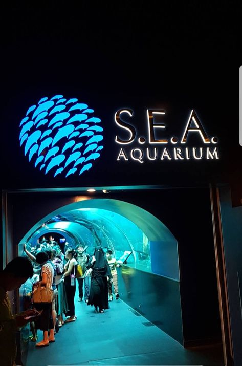 Singapore Sea Aquarium, S.e.a Aquarium Singapore, Singapore Aquarium, Sea Aquarium Singapore, Aquarium Museum, Singapore Sentosa, Sentosa Island Singapore, Sentosa Singapore, Singapore Things To Do