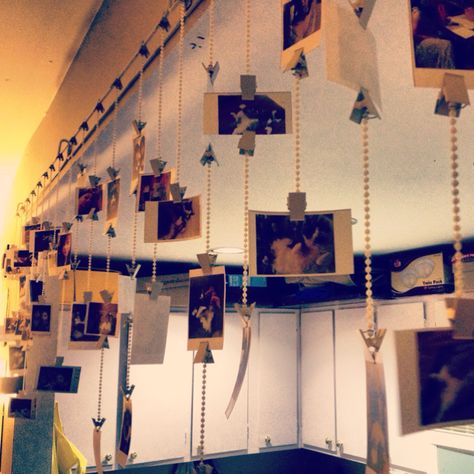 Wouldn't this DIY Polaroid picture hanging be awesome in a studio or office?  I love the idea of having the pictures hanging.  I could see this idea being used in a restaurant or bar too. Pictures On Ceiling, Photos Hanging From Ceiling, Pictures Hanging From Ceiling, Polaroid Projects, Hanging Polaroids, Picture Hanging Ideas, Diy Wedding Dance Floor, Instax Ideas, Diy Polaroid