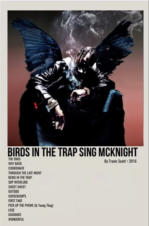 Travis Scott Birds, Travis Scott Album, Rap Album Covers, Aesthetic Canvas, Music Poster Ideas, Vintage Music Posters, Film Posters Minimalist, Music Poster Design, Film Posters Vintage