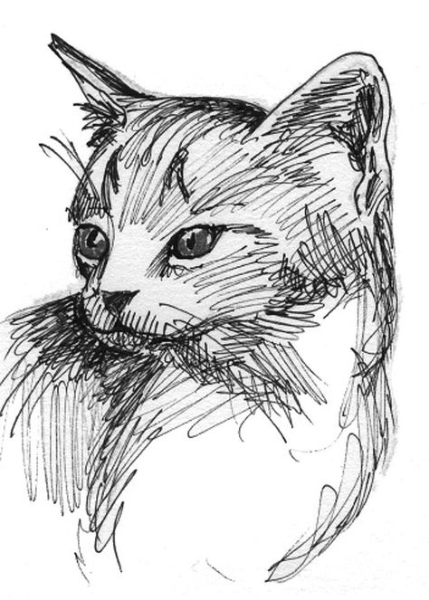 Black Ink Art Drawing, Pen Sketch Reference, Pen Painting Sketches, Ink Pen Drawings Sketchbooks, Ink Pen Sketching, Black White Sketches Drawing, Gel Ink Pen Drawings, Black Pen Illustration, Ink Drawing Animals