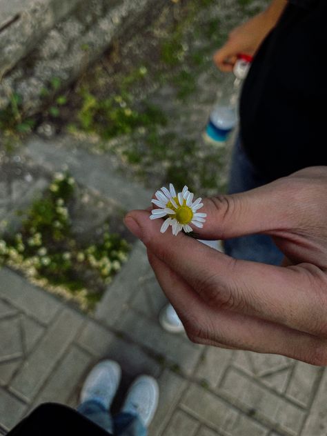 Bf With Flowers, Man With Flowers In Hand, Man With Flowers, Rose In Hand, Boy Snaps Pic, Canada Pictures, Instagram Animation, Black Hd Wallpaper, Giving Flowers