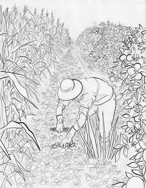 Cornfield Drawing Easy, Cornfield Drawing, Ivan Cruz, African Drawings, Old High School, Architecture Drawing Plan, Storybook Art, Human Drawing, Adult Colouring Pages