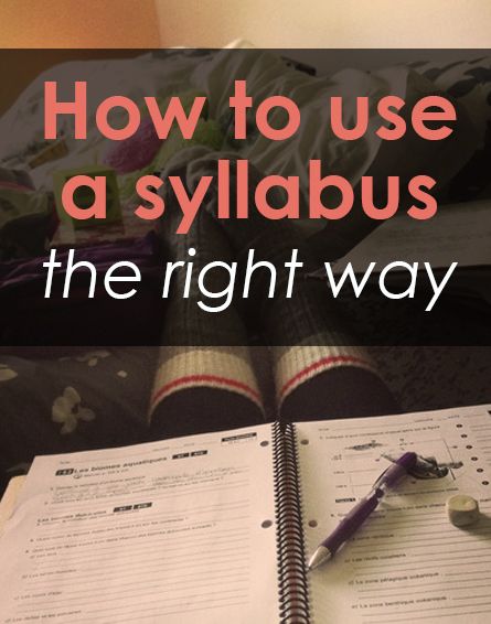 College Syllabus, College Success, Going Back To College, Freshman Year College, College Survival, College Advice, University Life, College Study, College Prep