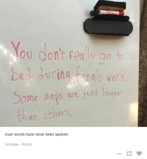 So true though. Finals Week Humor, College Finals, Exam Week, College Memes, Old Memes, Funny School, Finals Week, School Memes, College Humor