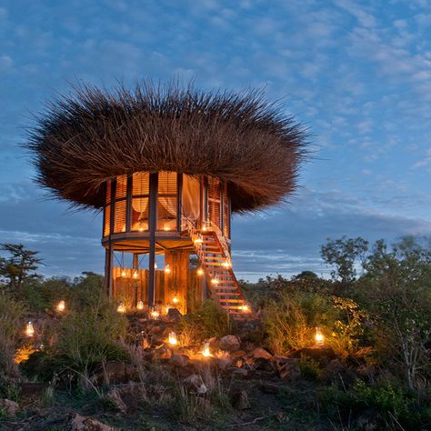 Nest Hotel, Post Ranch Inn, Luxury Tree Houses, Diani Beach, Mount Kenya, Treehouse Hotel, Kenya Travel, Kenya Safari, Best Honeymoon