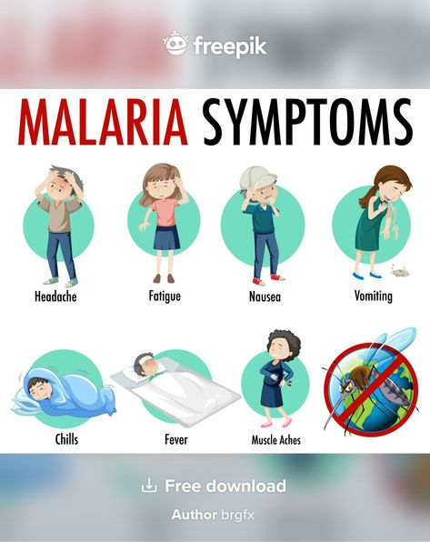 Malaria symptom information infographic | Free Vector #Freepik #freevector #cartoon #insect #mosquito #headache Malaria Poster, Malaria Infographic, Malaria Symptoms, Diseases Pictures, Hospital Ideas, Chemistry Basics, How To Help Nausea, Student Tips, Health Equipment