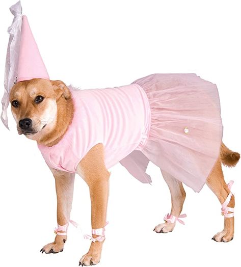 Amazon.com: Rubie's Big Dog Princess Dog Costume, XXXL : Pet Supplies Princess Pet, Prince Costume, Norfolk Terrier, Princess Dog, Funny Costumes, Dog Halloween Costumes, Big Dog, Dog Costumes, Dog Costume