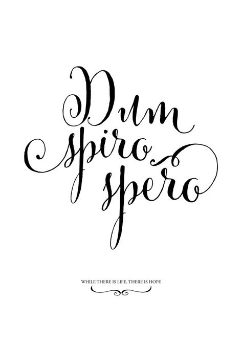 Latin quote: Dum spiro, spero / Where there's life, there's hope Latin Love Quotes, Italian Quote Tattoos, Famous Quotes About Family, While I Breathe I Hope, Latin Quote Tattoos, Latin Tattoo, Tattoo Quotes About Strength, Tattoo Quotes About Life, Phrase Tattoos