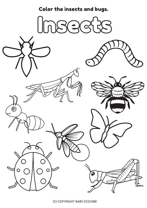 Insect Art And Craft For Preschool, Insects Preschool Worksheets, Insect Worksheet, Insect Colouring Pages, Insects For Kids, Bugs And Insects Coloring Pages, Insect Clipart, Bug Coloring Pages, Kids Routine Chart