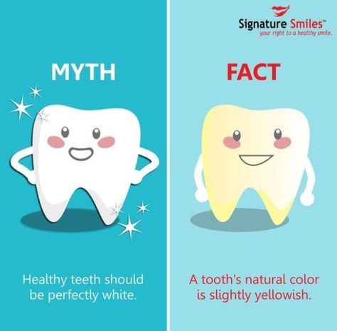 Childrens Dental Health, Dental Quotes, Dental Advertising, Dental Social Media, Dental Posts, Dental Posters, Dental Fun, Fun Fact Friday, Dental Facts